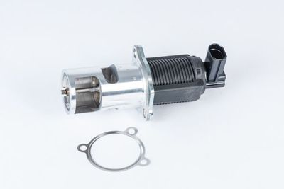 BTS Turbo AGR-Ventil (A100128)