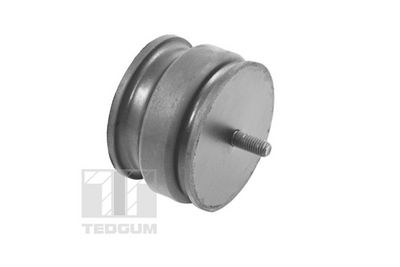 LAGERUNG MOTOR TEDGUM 00221175 1