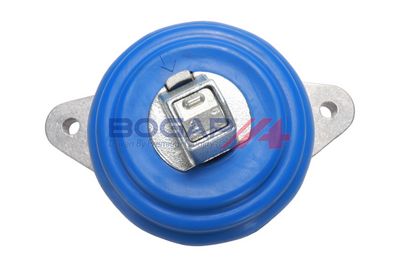 BOGAP Variklio montavimas