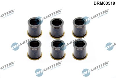 ETANSARE SUPORT INJECTOR