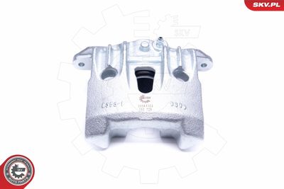 Brake Caliper 45SKV321