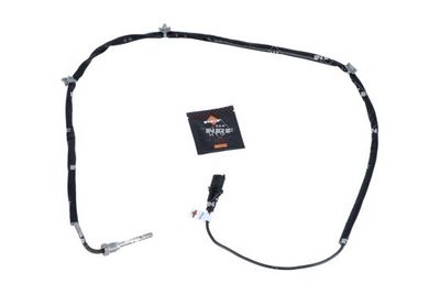 Jutiklis, išmetamųjų dujų temperatūra