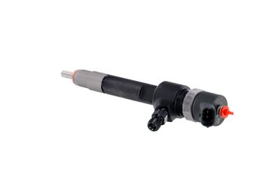 INJECTOR REMANTE 002003001695R 17