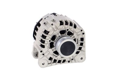 GENERATOR / ALTERNATOR REMANTE 011003000135R 55