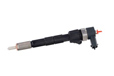 INJECTOR REMANTE 002003001391R 10