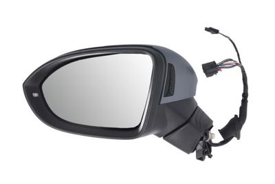 Exterior Mirror 5402-01-2526314P