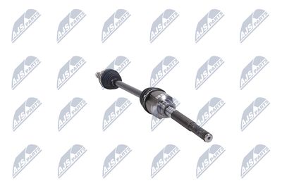 PLANETARA NTY NPWCH044 31