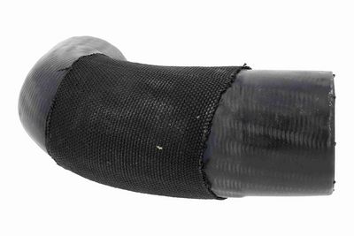 FURTUN EAR SUPRAALIMENTARE ACKOJA A260541 3