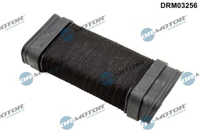 PALNIE FILTRU DE AER Dr.Motor Automotive DRM03256