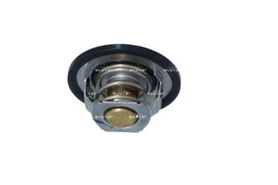 Thermostat, coolant 725150