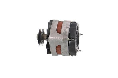 GENERATOR / ALTERNATOR REMANTE 011003000079R 18
