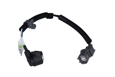 Krukassensor
