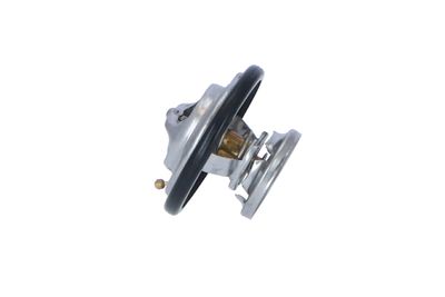 TERMOSTAT LICHID RACIRE NRF 725074 18