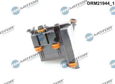 Dr.Motor Automotive Alyvos atskyriklis, karterio alsuoklis