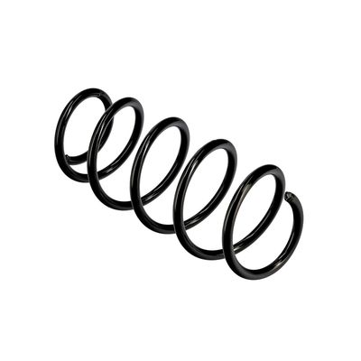 ARC SPIRAL EIBACH R10344 22