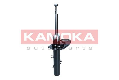 Shock Absorber 2001282