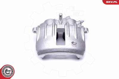 Brake Caliper 46SKV634