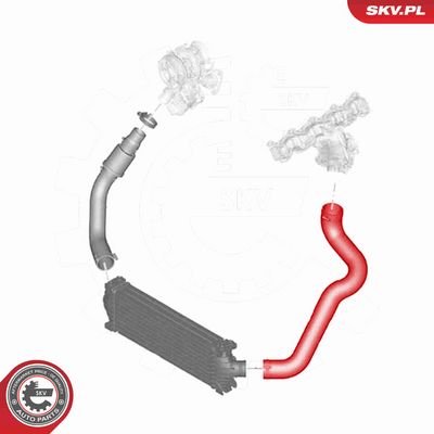 FURTUN EAR SUPRAALIMENTARE ESEN SKV 43SKV202 3