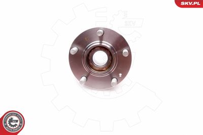 Wheel Bearing Kit 29SKV058