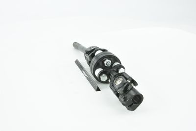 ARBORE DIRECTIE FEBEST ASSZGVSQ 12