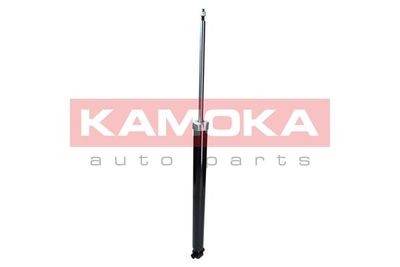 Shock Absorber 2000761