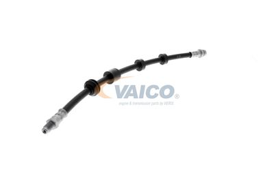 FURTUN FRANA VAICO V950481 43