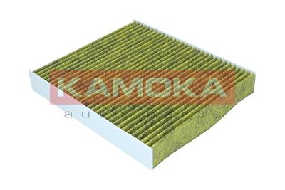 Filter, cabin air 6080029