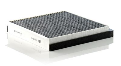 Filter, Innenraumluft