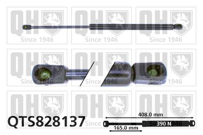 QUINTON HAZELL QTS828137 Амортизатор багажника и капота  для AUDI A8 (Ауди А8)