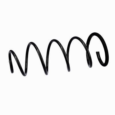 ARC SPIRAL EIBACH R10092 18