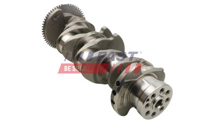 ARBORE COTIT FAST FT51705 1