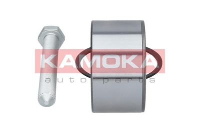 Wheel Bearing Kit 5600093