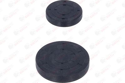 CHIT LANT DE DISTRIBUTIE BIRTH 6501 10