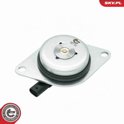 MAGNET CENTRAL POZ. ARBORE CU CAME ESEN SKV 39SKV902 1