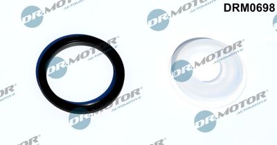 Уплотняющее кольцо, коленчатый вал Dr.Motor Automotive DRM0698 для MAYBACH 57