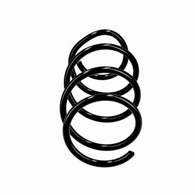 ARC SPIRAL EIBACH R10355 13