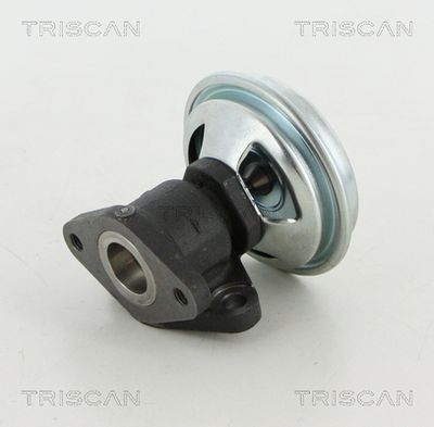 SUPAPA EGR TRISCAN 881321002 1