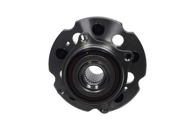 Kavo Parts Rato guolio komplektas