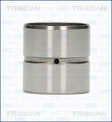 TRISCAN 80-29001 Гідрокомпенсатори для AUDI (Ауди)