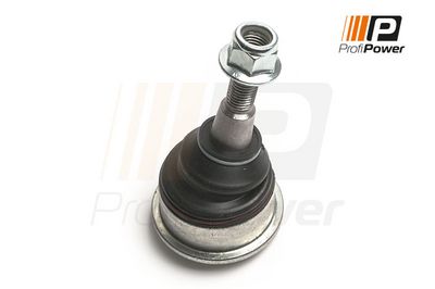 Šarnyras / girgždukas