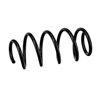 ARC SPIRAL EIBACH R10284 6