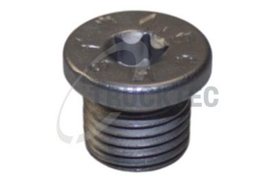 SURUB DE GOLIRE BAIA DE ULEI