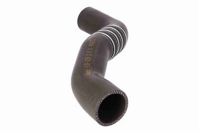 FURTUN EAR SUPRAALIMENTARE ACKOJA A380299 4