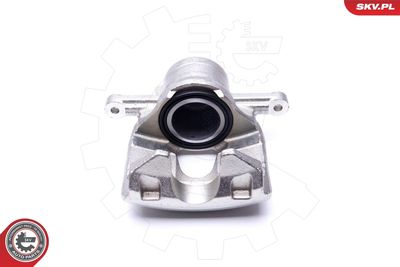 Brake Caliper 46SKV971