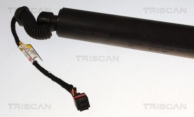 Plynárenská vzpera (pneumatická pružina), zavazadlový priestor TRISCAN 8710 29331
