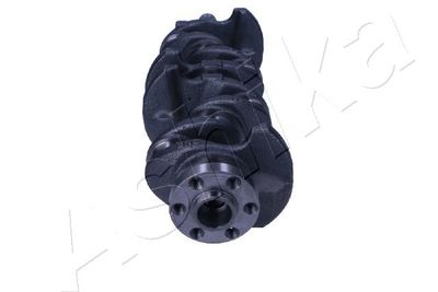 ARBORE COTIT ASHIKA 18TY007 1