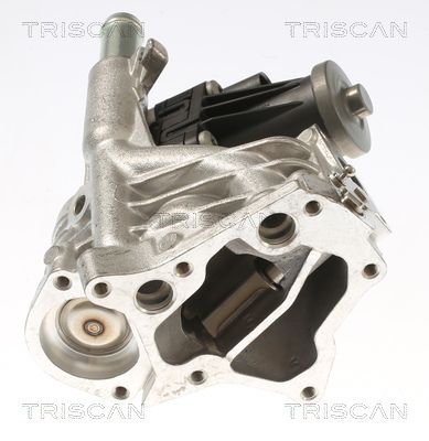 SUPAPA EGR TRISCAN 881310118 1