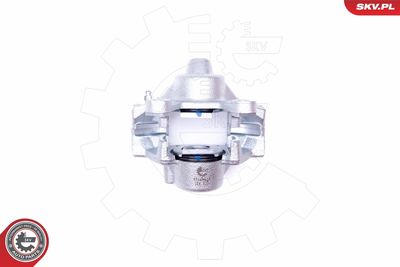 Brake Caliper 45SKV494