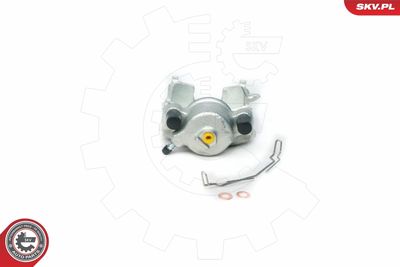 Brake Caliper 23SKV052