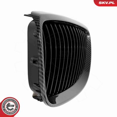 GRILA RADIATOR ESEN SKV 66SKV106 9